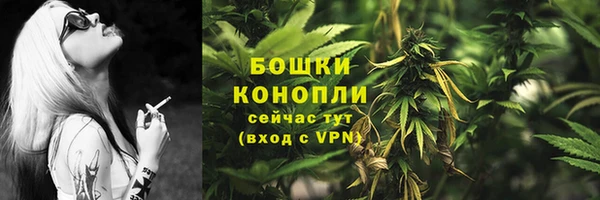 хмурый Нягань