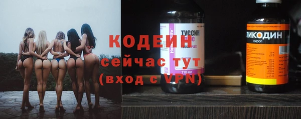 хмурый Нягань