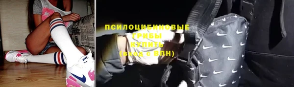 mdpv Няндома