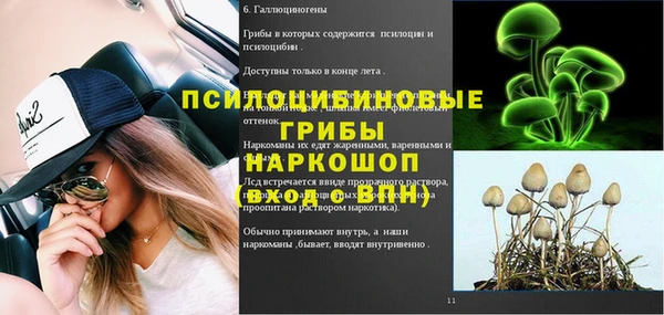 хмурый Нягань