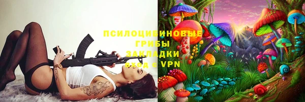mdpv Няндома