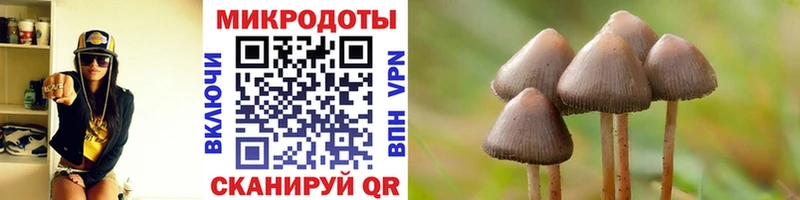 Псилоцибиновые грибы GOLDEN TEACHER  Купить  Называевск 